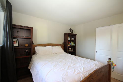 Lower level fireplace